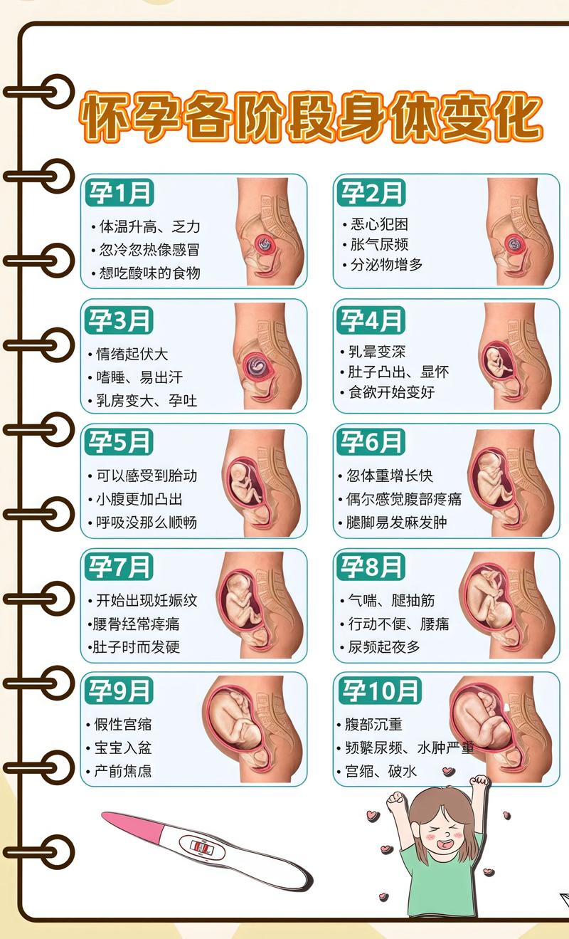 揭秘供卵代孕妈妈怀孕小腹分两节，孕期变化的奥秘六安代生机构: